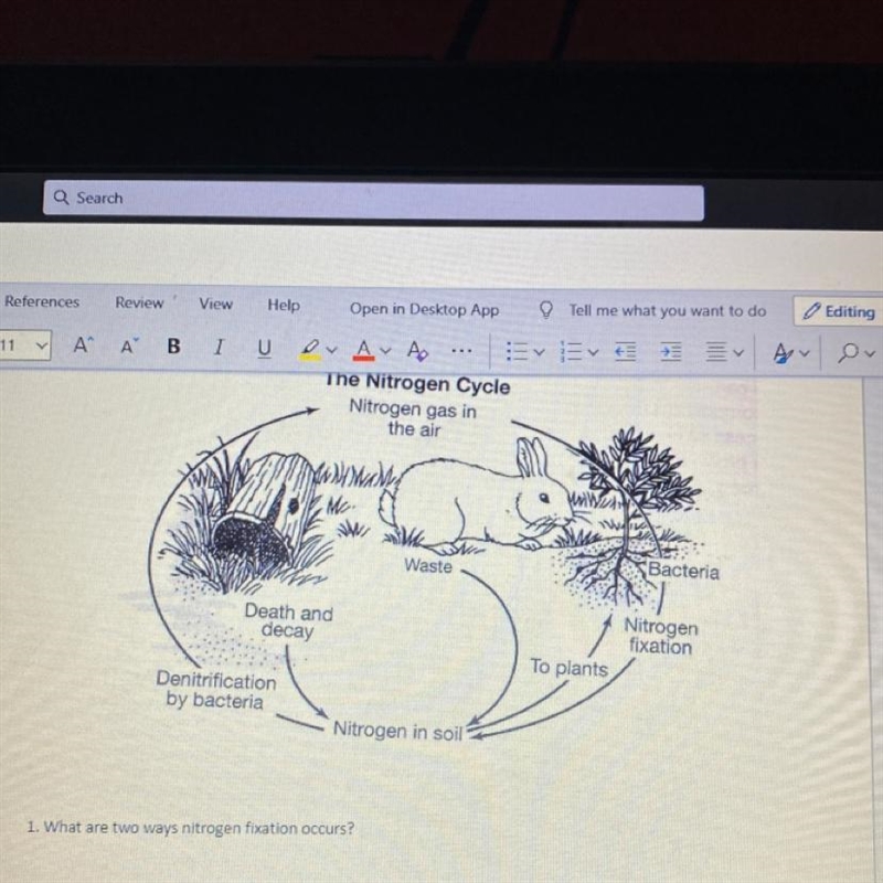 What are two ways nitrogen fixation occurs-example-1