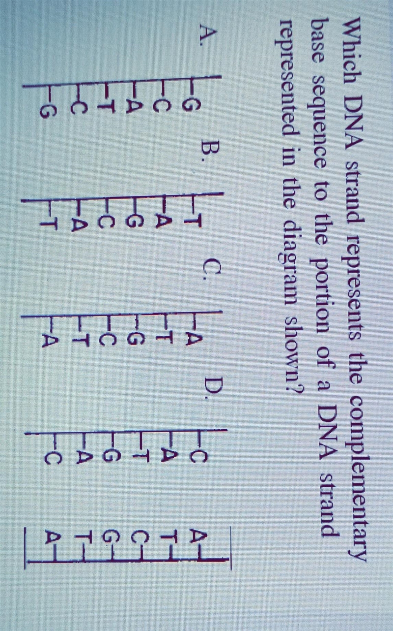 Please answer this please don't answer if you don't know it thank you D. look at the-example-1