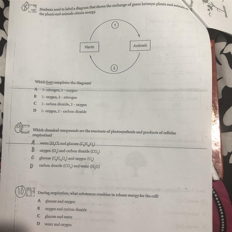 Need help on 8,9, and 10. ONLY if you know them please.-example-1