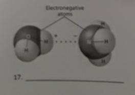 Identify each type of bond:-example-1