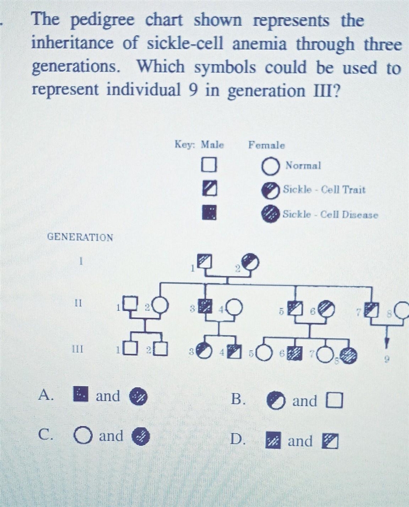 Please answer it I really need this answer to pass thank you ​-example-1