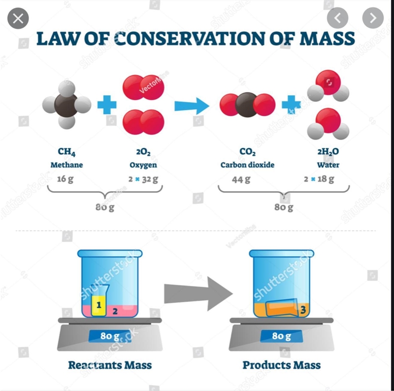 BASED ON THE INFORMATION BELOW. CALCULATE THE MASS FOR ONE OF THESE ATOMS: MASS OF-example-1