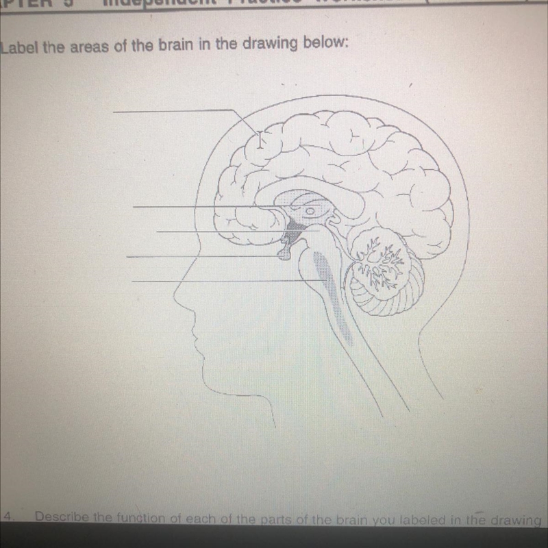 Can someone tell me the parts and the functions ?-example-1