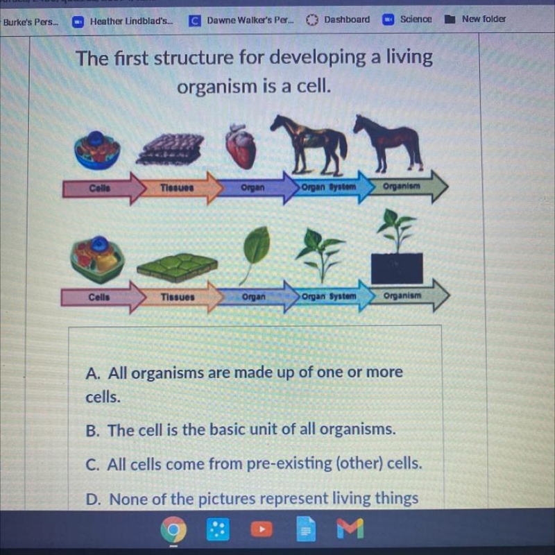 Help as soon as possible please tell why you chose A B C OR D-example-1