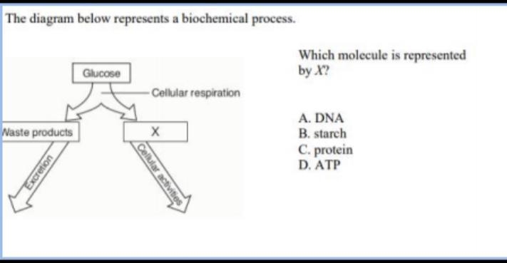 Answer this please ty-example-1