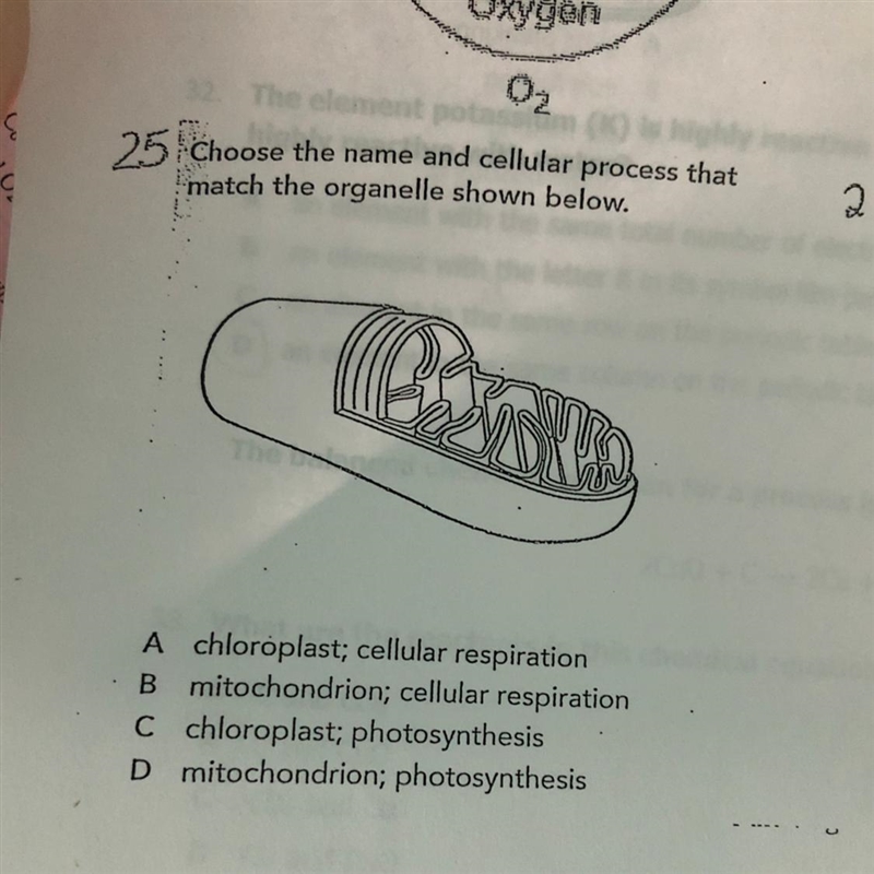 Need help please....-example-1