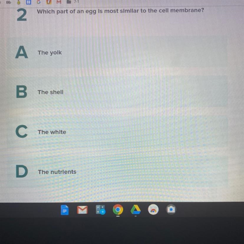 2 Which part of an egg is most similar to the cell membrane? A The yolk B The shell-example-1
