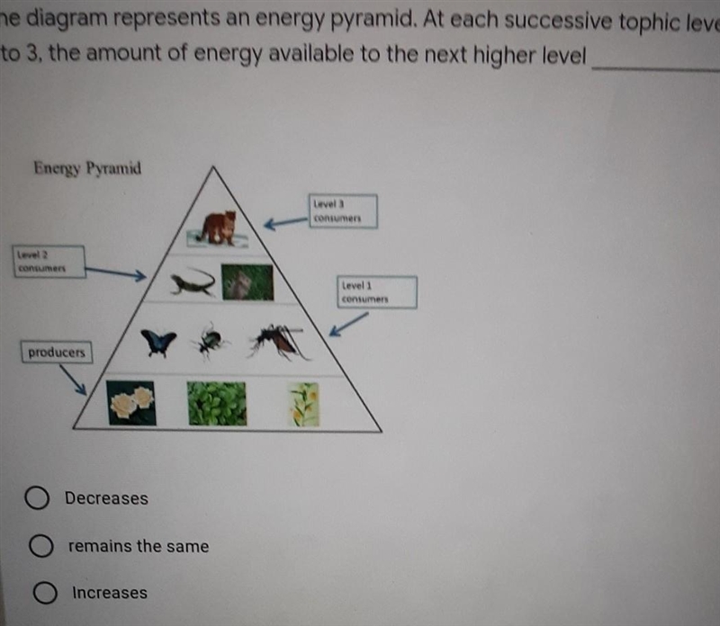 The diagram represents an energy pyramid. At each successive tophic level from 1 to-example-1