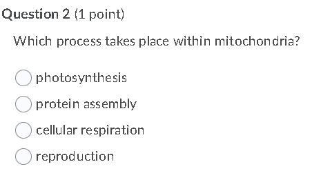 HELP HELP HELP! NOW ANSWER THE IMGAGE'S 50POINTS!-example-2