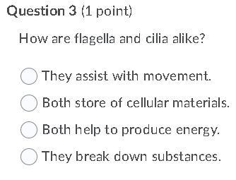 HELP HELP HELP! NOW ANSWER THE IMGAGE'S 50POINTS!-example-3