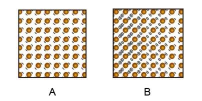 Use the image to complete the sentences. At left a grid labeled A of regularly arranged-example-1