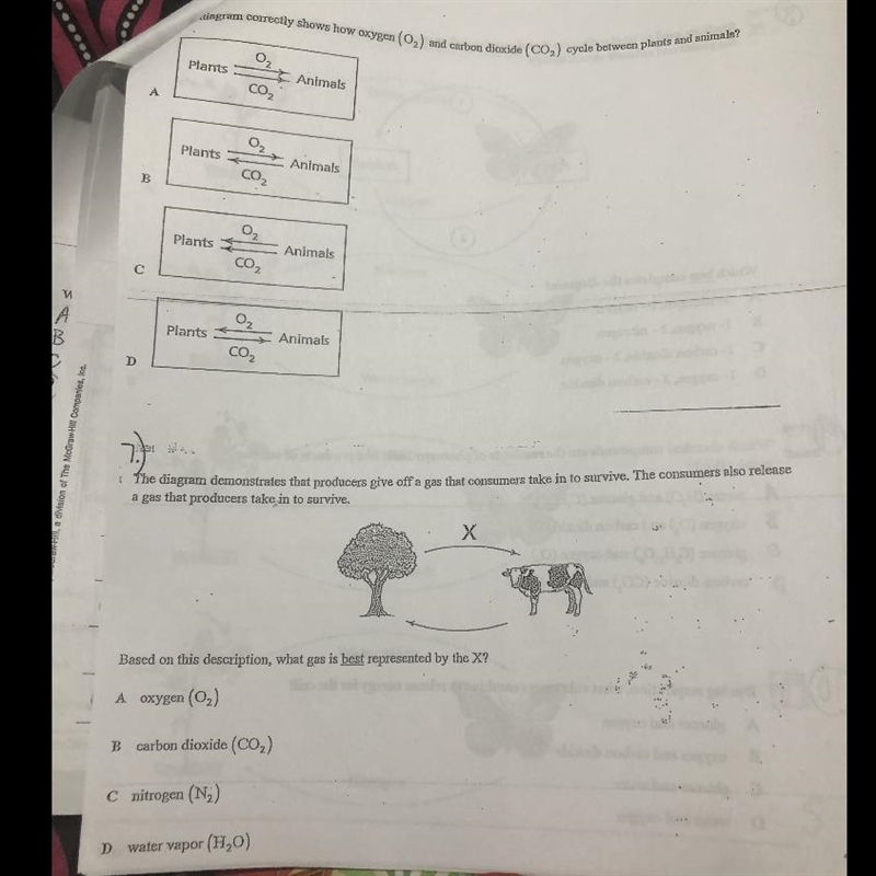 Need help on both questions. Only if you know.-example-1