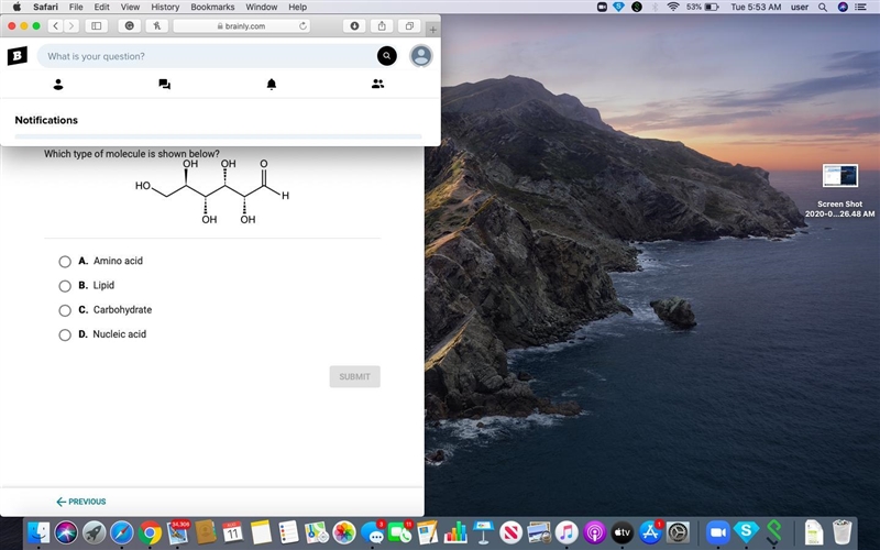 Please help, Which type of molecule is shown below?-example-1