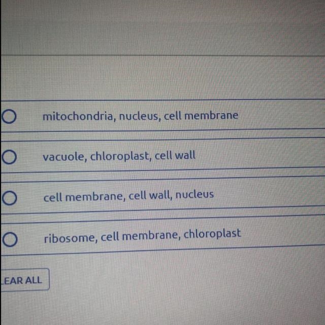 What structures perform similar functions in plant and animal cells? The answers are-example-1