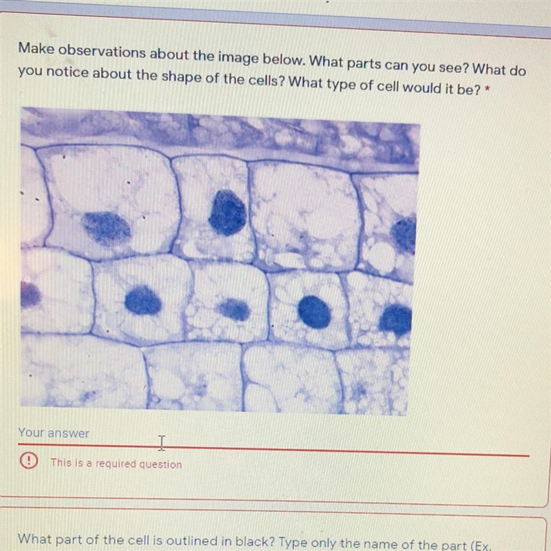 What parts can you see?? What do you notice about the cells? What type of cell is-example-1