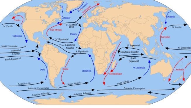 Warm Ocean currents, like the Gulf Stream current, will create a warmer wetter climate-example-1