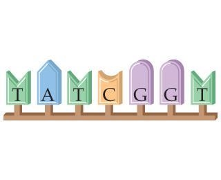 Enter the complementary strand of this DNA strand. Give your answer as a string.-example-1