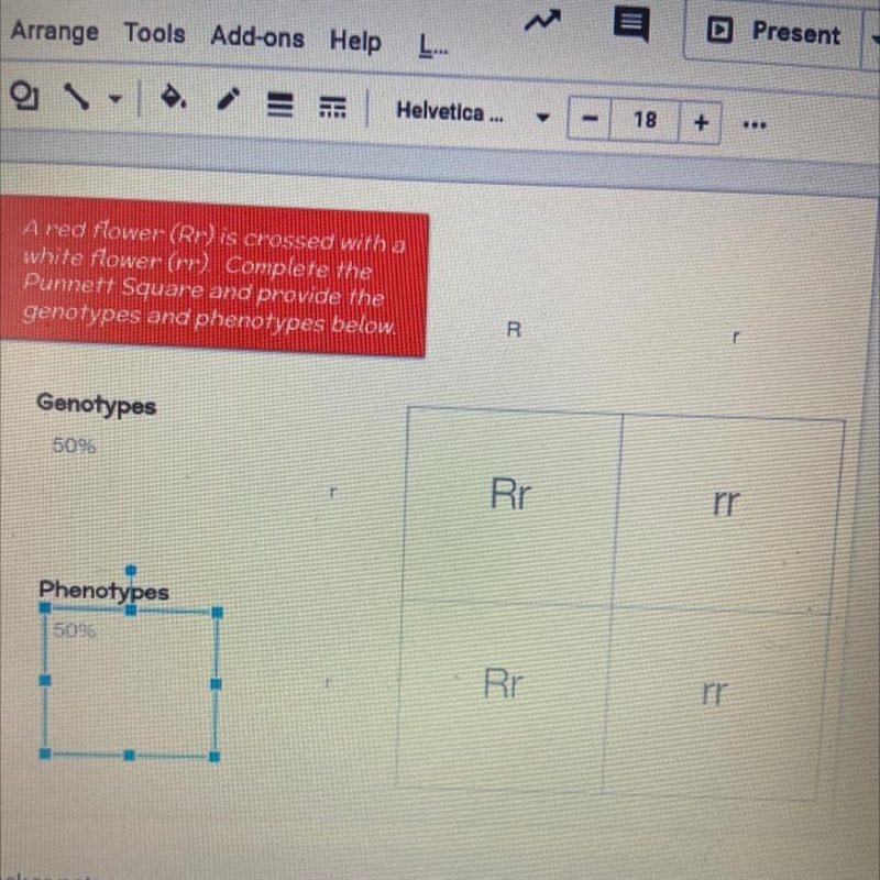 Punnet squares, is this right? Lol-example-1