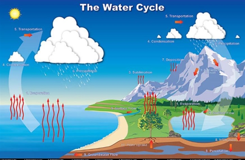 Is this a scientific model? Use complete sentences to explain why or why not.-example-1