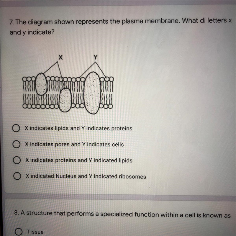 Please help with number 7 thank you! 30 points-example-1