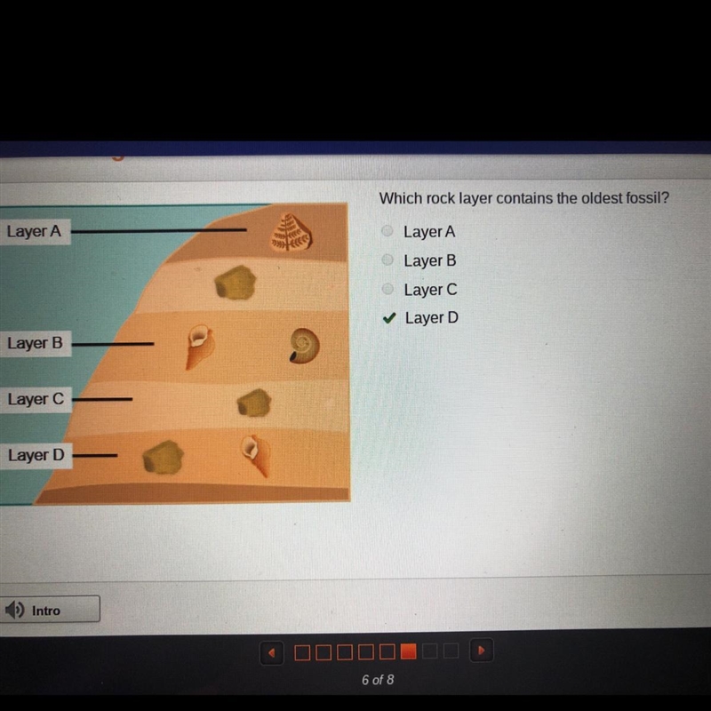 Which rock layer contains the oldest fossil? Layer A Layer B Layer C Layer D Answer-example-1