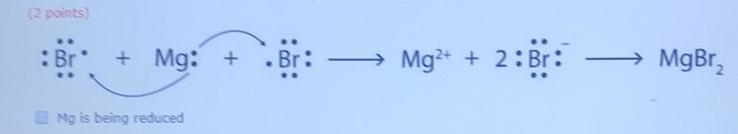 Look at the following chemical reaction and determine what is true about Mg. Click-example-1