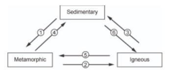 Question. Which of the following events must occur at point 6 in order to transform-example-1