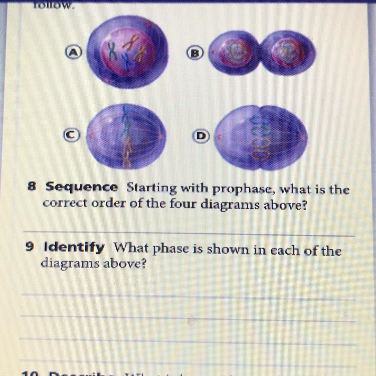 Help me plzz I don’t get this question-example-1