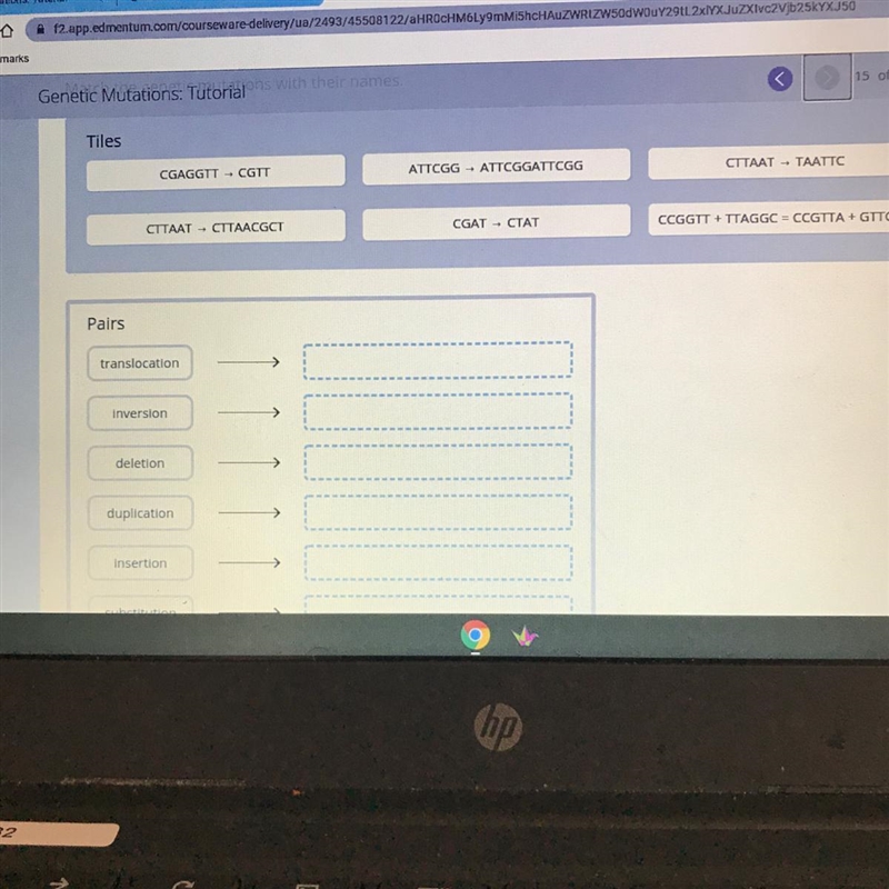 Drag the tiles to the correct boxes to complete the pairs. Match the genetic mutations-example-1