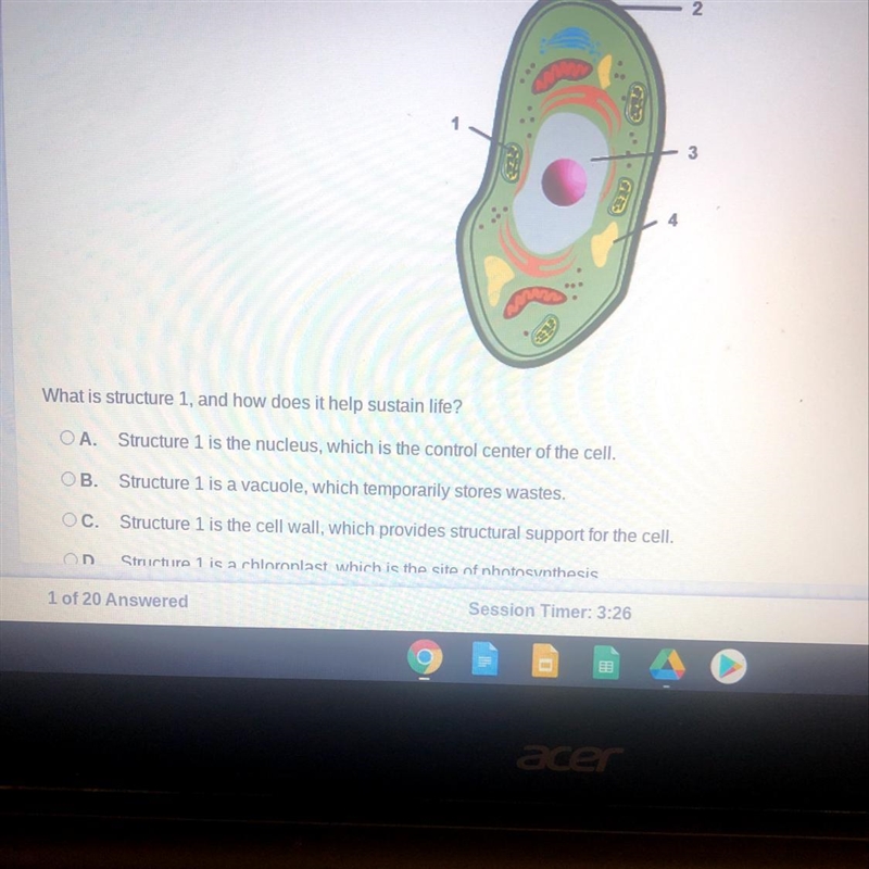 What is structure 1, and how does it help sustain life-example-1