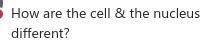 What is the answer please hurry-example-1