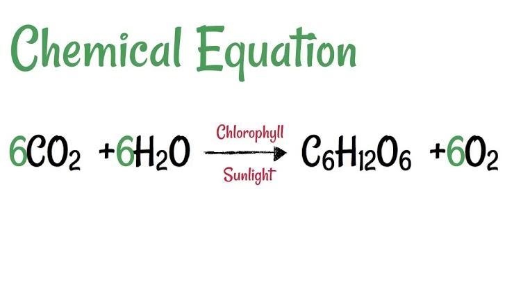 How many hydrogen atoms are on the reactant side of the equation below?-example-1