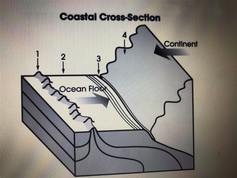 This diagram shows one plate sliding beneath another. what landform is most likely-example-1