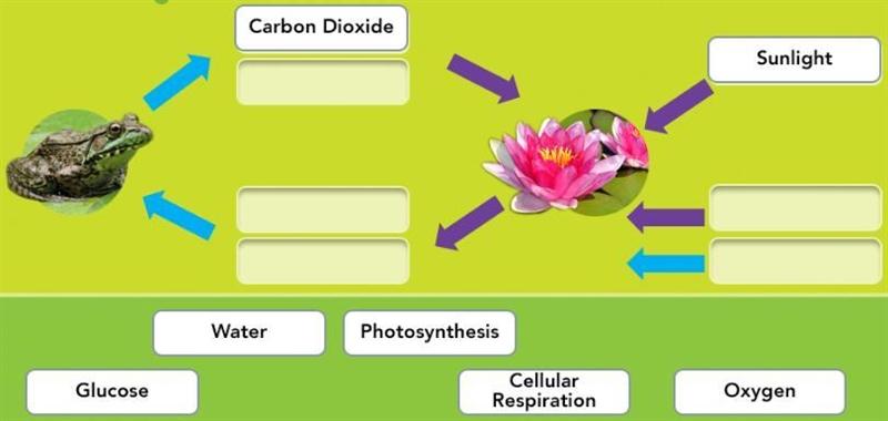 LOTS OF POINTS PLZ HELP!!!!! ...I got the first two for ya...-example-1