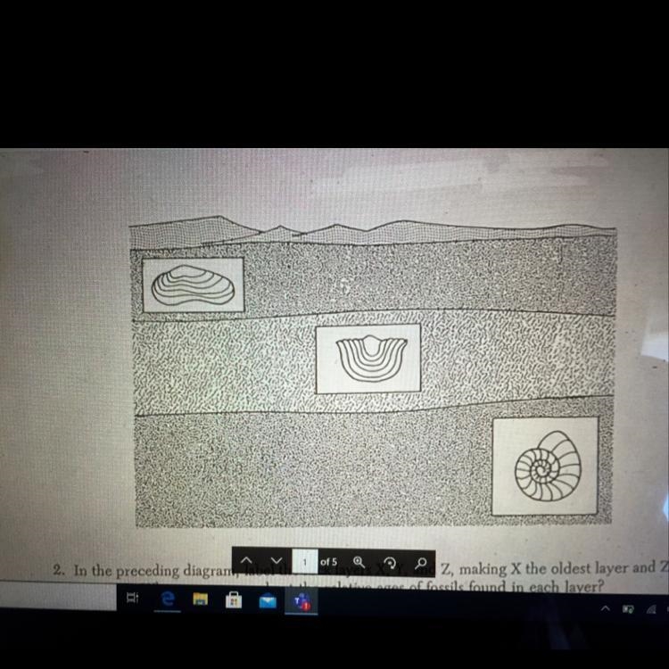 2. In the preceding diagram, label the rock layers X, Y, and Z, making X the oldest-example-1