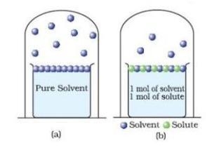 Use the model below to answer the question. A. Student B says adding an ionic solute-example-1