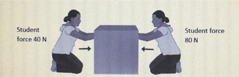 QUICK PLEASE. If the student on the right applies 8ON of force, what is the net force-example-1