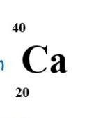 What is the number of proton in this atom​-example-1