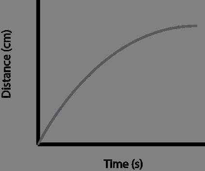 A) accelerated upward. B) slowed and then stopped. C) moved at a constant velocity-example-1