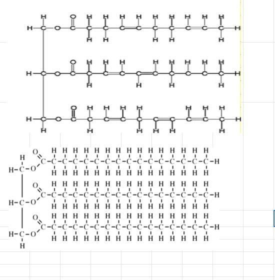 What are the classifications of these compounds? Are they triglycerides?-example-1