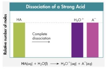 In the graph above for the dissociation of a strong acid, why do the bars for H3O-example-1