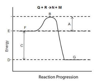 PLEASE HELP!!! Consider the reaction pathway graph below. Image Which letter represents-example-1