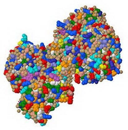 Lactose takes years to break down on its own. But if exposed to the protein lactase-example-1