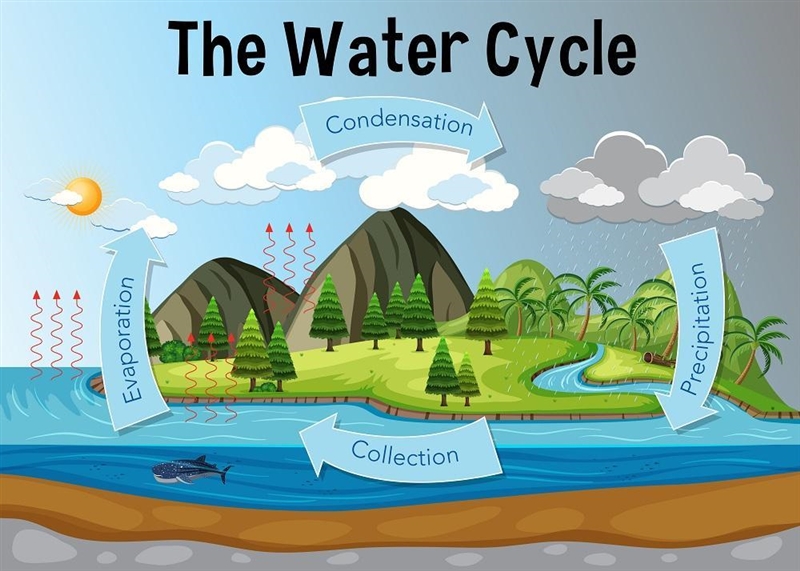 What occurs when water droplets in the atmosphere become heavier than the air surrounding-example-1