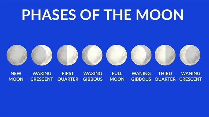 In which phase is the moon when in the position shown in the diagram? A) First-Quarter-example-1