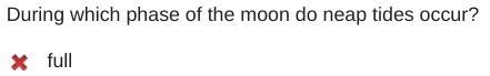 During which phase of the moon do neap tides occur? A: full B: gibbous C: new D: quarter-example-1