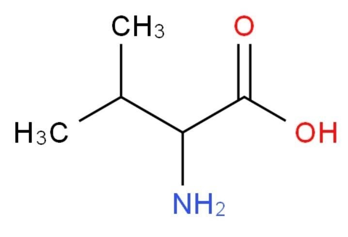 2-amino-3-methyl-butanoic acid structural formula? ​-example-1