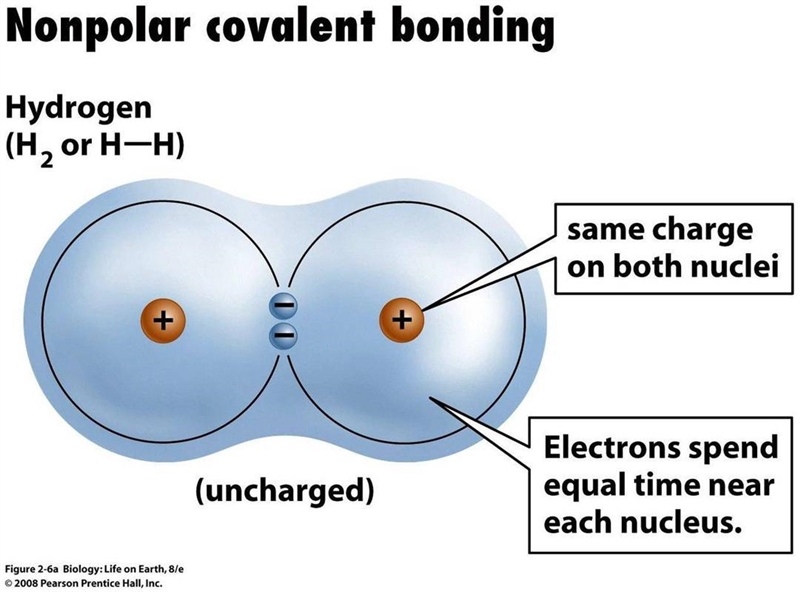 A picture of a no polar covalent-example-1