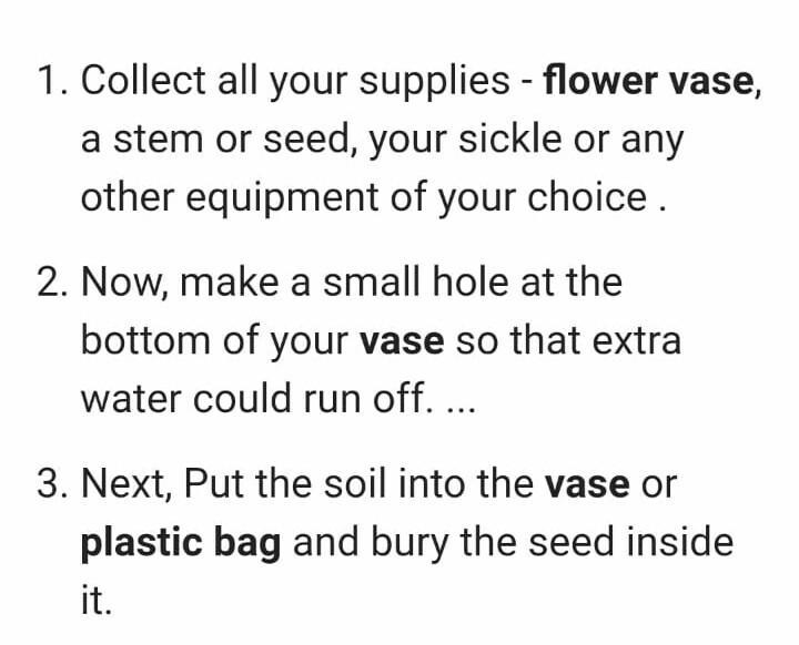 How do we grow flowers in vase and plastic bags?​-example-1