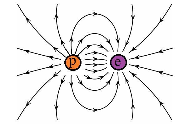 Draw the electric field lines between a proton and an electron. According to Coulomb-example-1